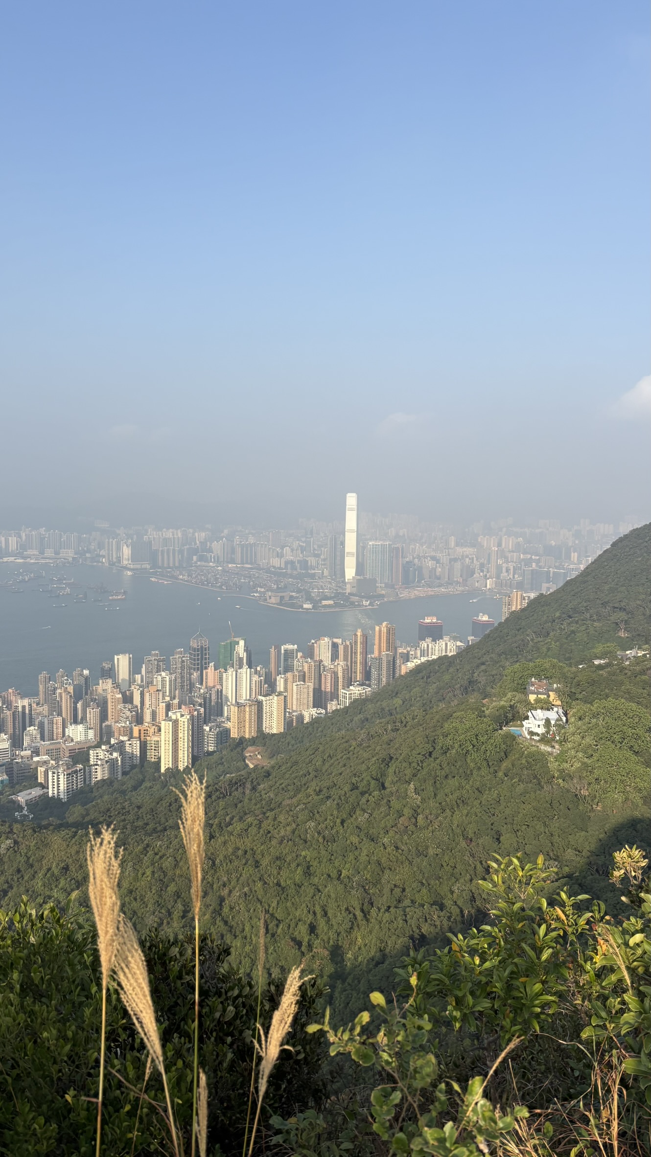 Hong Kong harbour and green hillside viewed from the High West area